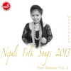 New Release of Nepali Folk Songs 2013, Vol. 2 (Nepali Folk) - Single