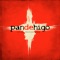 Trago Amargo - Pan De Higo lyrics