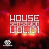 House Sensation, Vol.1, 2012