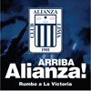 De la Victoria a la Gloria by Elenco Banquiazul iTunes Track 2