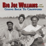 Big Joe Williams - Shake It Enough for Me