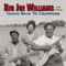 Bird Nest - Big Joe Williams lyrics