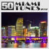 50 Miami Tunes 2012, 2012