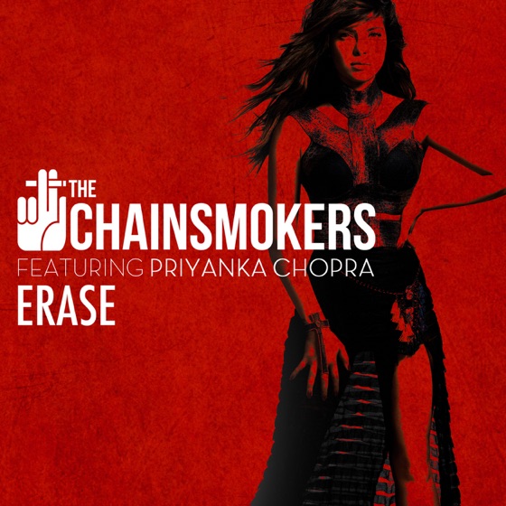 Cover artwork for Erase (feat. Priyanka Chopra)