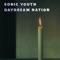 Teen Age Riot - Sonic Youth lyrics