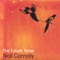 Seagull - Niall Connolly lyrics