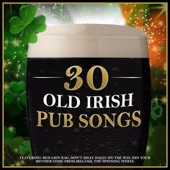 30 St Paddys Drinking Songs artwork