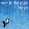 Mirrors - Envy On the Coast lyrics