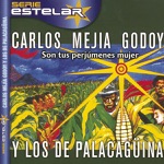 Carlos Mejia Godoy & Los De Palacagüina - Flor de Pino