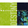 Find You're Here - Wolfsheim