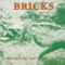 Should Be Going Home - Bricks lyrics