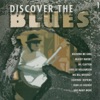 Discover the Blues, Vol. 1 artwork