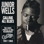 Junior Wells - She's a Sweet One