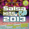 Salsa Hits: Cr 2013, Vol. 1