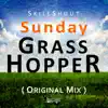 Stream & download Sunday Grasshopper Original Mix - Single