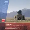 Stream & download Reza Vali: Toward That Endless Plain