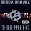 Cocoa Brovaz - Memorial