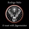 A Toast With Jagermeister (Original Mix) - Rodrigo Melo lyrics