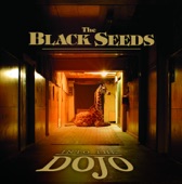 The Black Seeds - The Answer