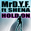 Hold On (feat. Shena)