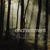 Enchantment - 40 Peaceful Classics album lyrics, reviews, download