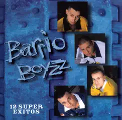 12 Súper Éxitos by Barrio Boyzz album reviews, ratings, credits