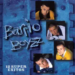 12 Super Exitos - Barrio Boyzz