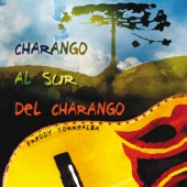 Charango al Sur del Charango artwork
