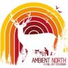 Ambient North (A Chill Out Excursion), 2013
