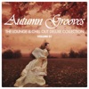 Autumn Grooves - The Lounge & Chill Out Deluxe Collection, Vol. 1