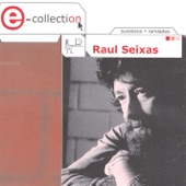 E- Collection: Raul Seixas artwork