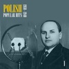 Polish Popular Hits, Vol. 1 (1930-1940) artwork