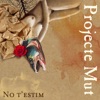 No t' Estim - Single