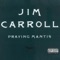 Just Visiting - Jim Carroll lyrics