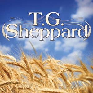 T.G. Sheppard - You Feel Good All Over - Line Dance Music