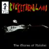 The Shores of Molokai album lyrics, reviews, download
