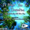 Stream & download I'll Meet You In the Dreamtime (feat. Nina Kay) [Remixes] - EP