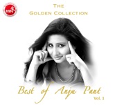 Anju Panta - Satauchha Timro Yaadle