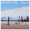 GRAPEVINE