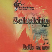 Schekina, vol. 3 (Brûle en moi) artwork