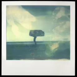 Polaroïd - Single - Granville Polaroïd - Single - Granville