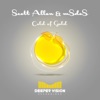 Scott Allen & Deeper Connection - Cold of Gold