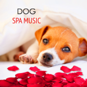 Dog Spa Music - Calming Relaxing Healing Music 4 your Dog Day Spa in Pet Salon - Pet Care Music Therapy