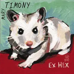 Ex Hex - Mary Timony