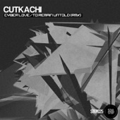 To Remain Untold (Cutkachi Remix) artwork