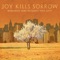 New Shoes - Joy Kills Sorrow lyrics