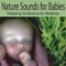 Nature Sounds - Nature Sounds Artists lyrics