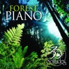 Forest Piano 30th Anniversary, 2013