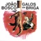 O Ronco Da Cuíca - João Bosco lyrics