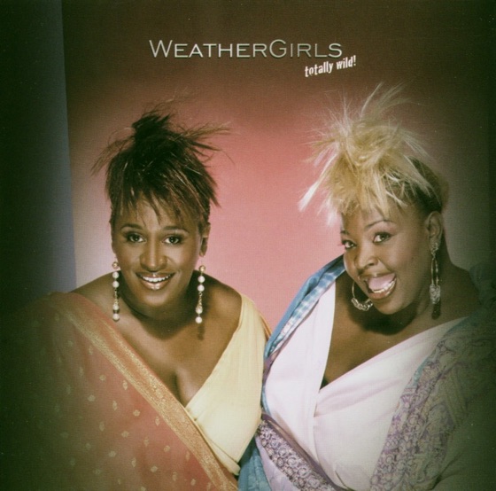 Cover artwork for It`s Raining Men